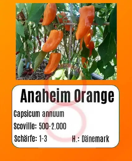 Anaheim Orange DER TOMATENFLÜSTERER