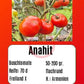 Anahit DER TOMATENFLÜSTERER