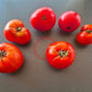 Anahit DER TOMATENFLÜSTERER