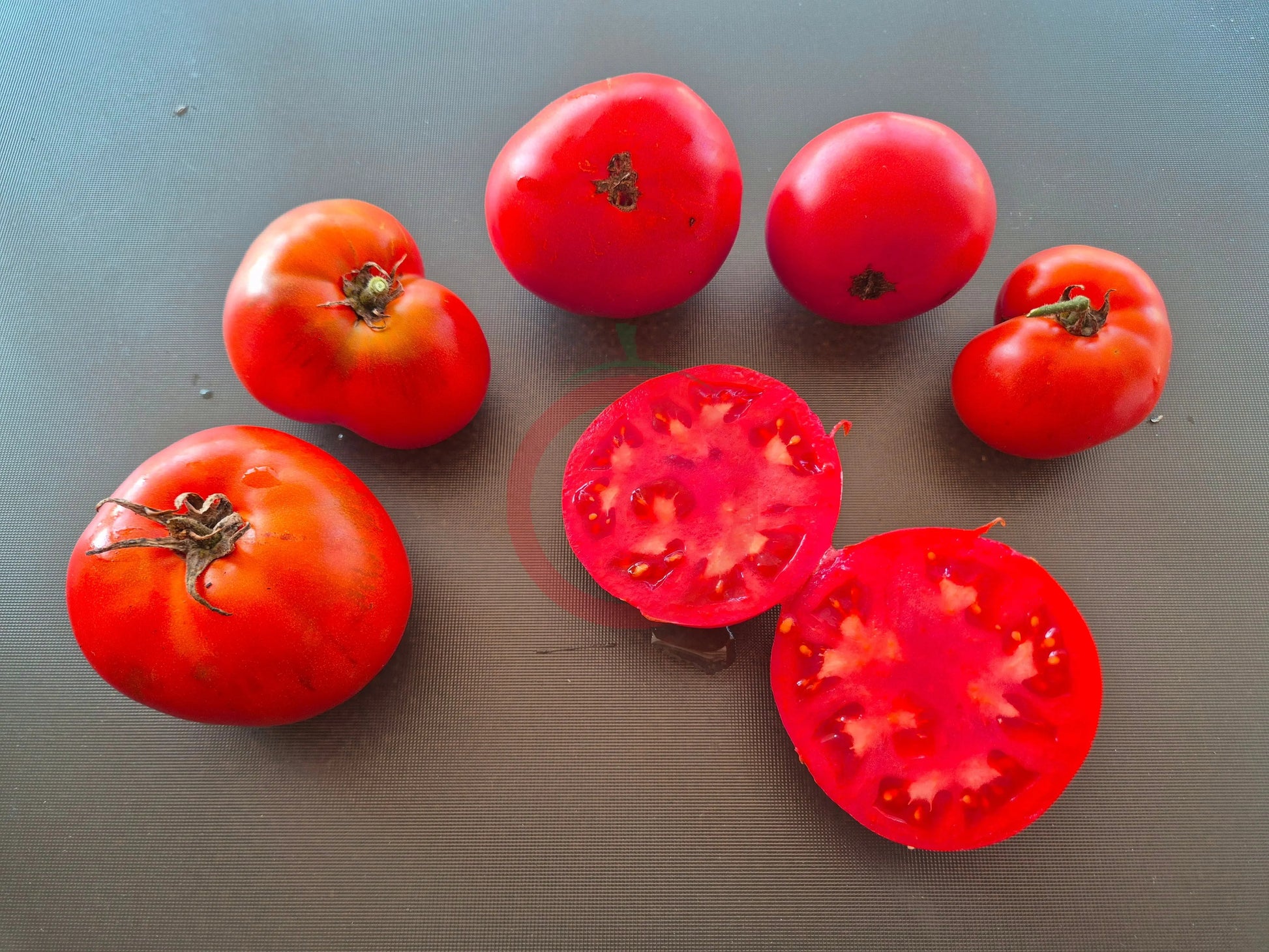 Anahit DER TOMATENFLÜSTERER
