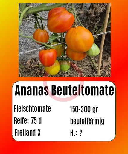 Ananas Beuteltomate DER TOMATENFLÜSTERER