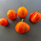 Ananas Beuteltomate DER TOMATENFLÜSTERER