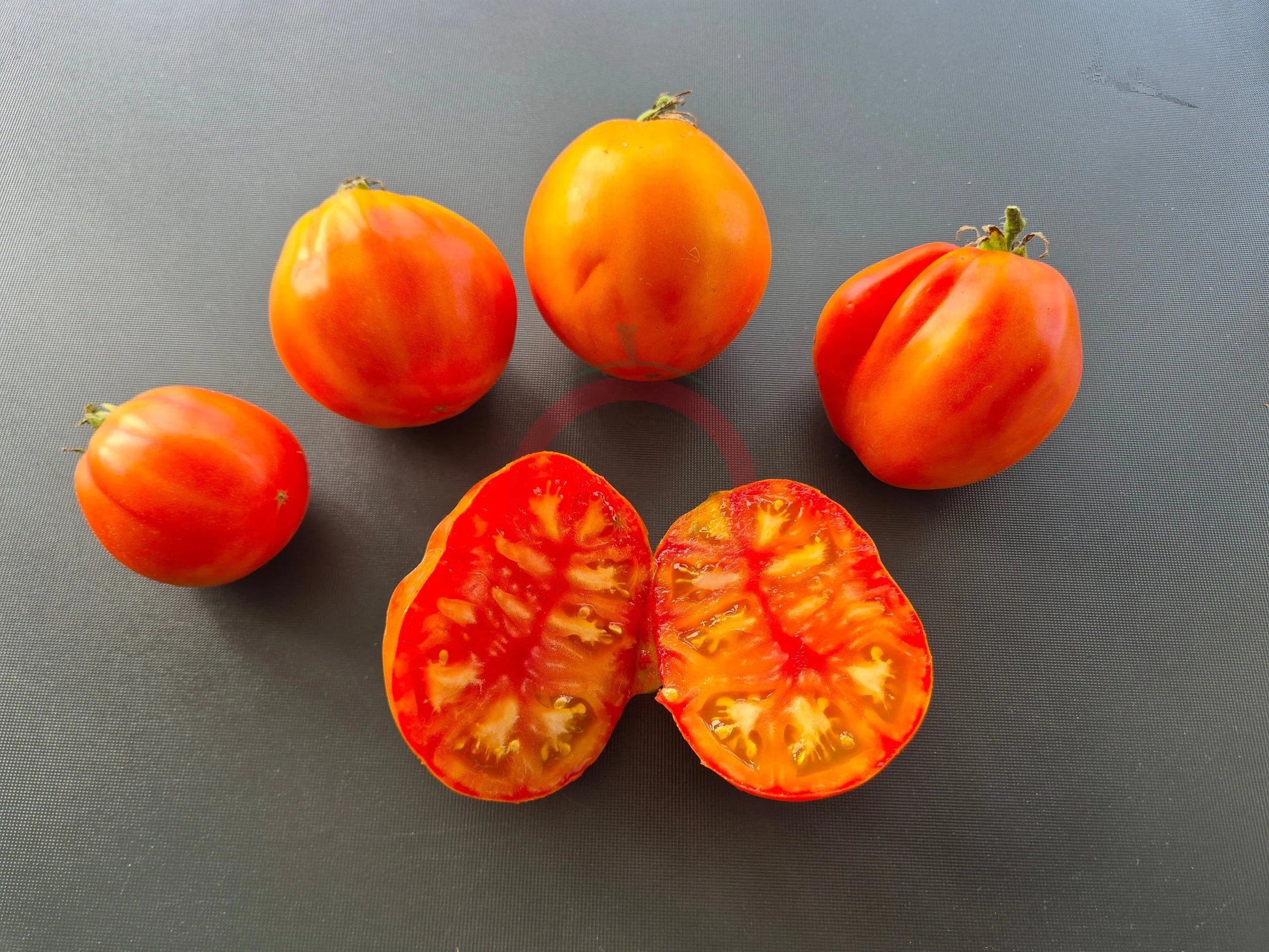 Ananas Beuteltomate DER TOMATENFLÜSTERER