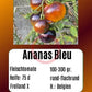 Ananas Bleu DER TOMATENFLÜSTERER