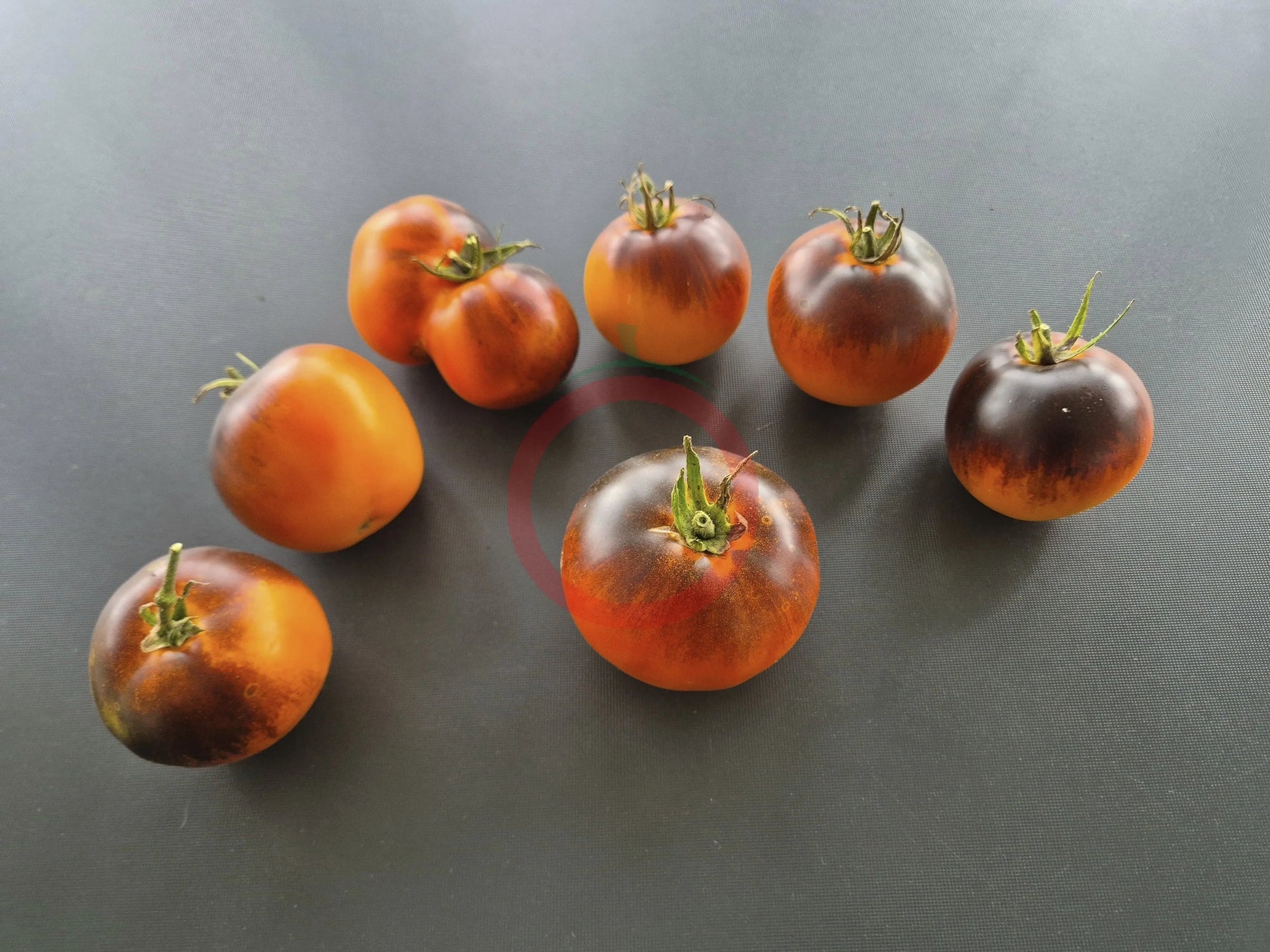 Ananas Bleu DER TOMATENFLÜSTERER
