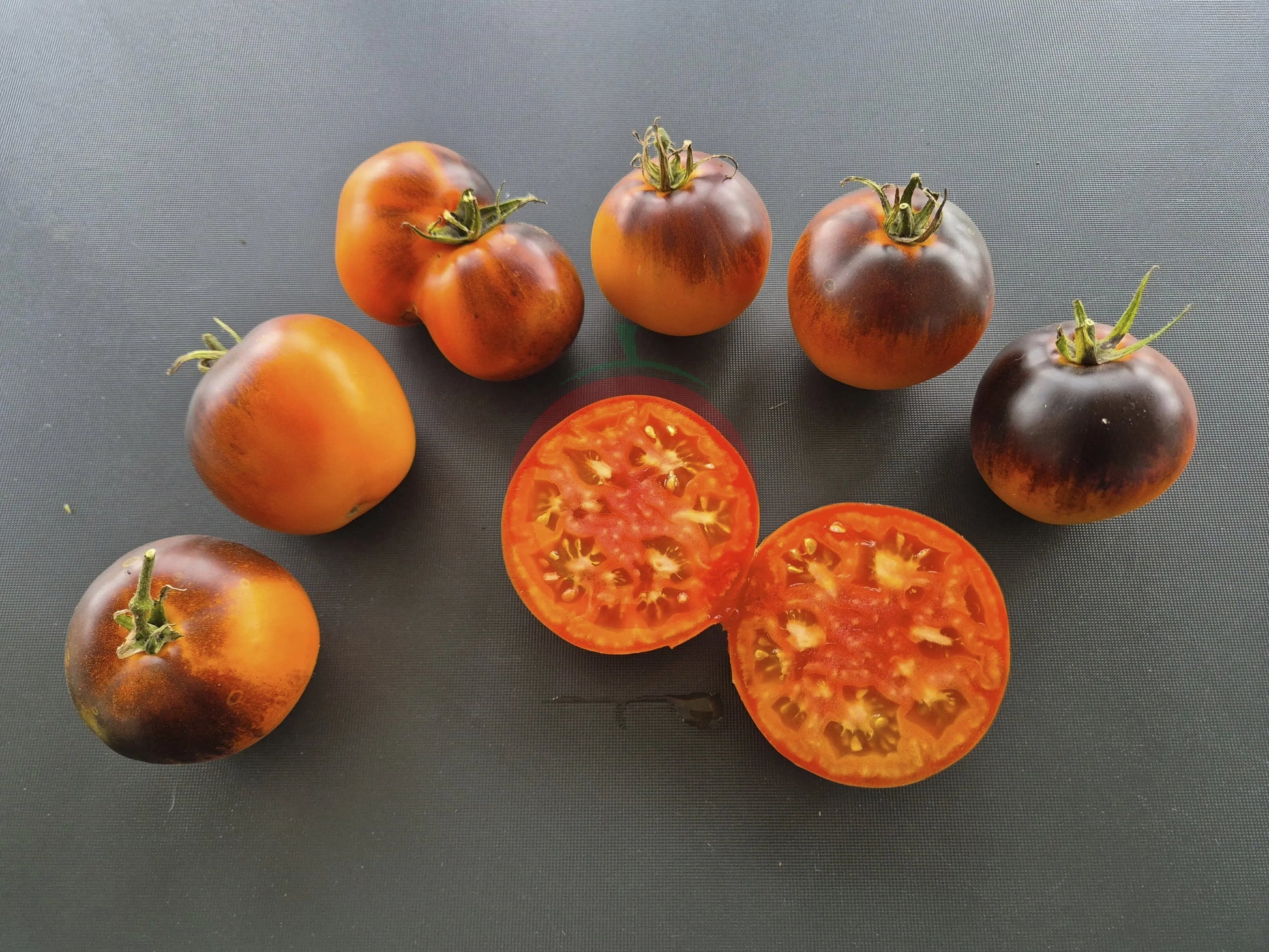 Ananas Bleu DER TOMATENFLÜSTERER