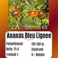 Ananas Blue Lignée DER TOMATENFLÜSTERER