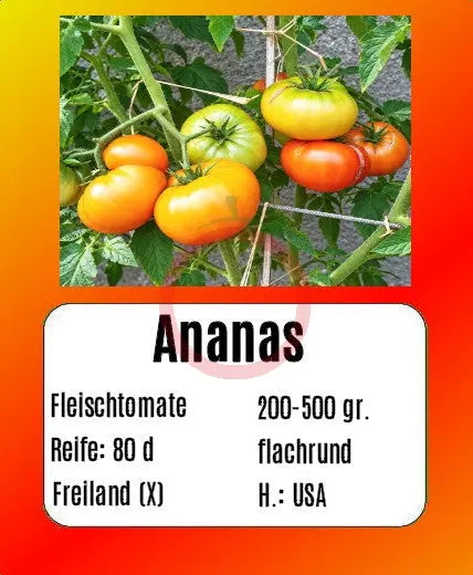 Ananas DER TOMATENFLÜSTERER