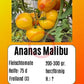 Ananas Malibu DER TOMATENFLÜSTERER