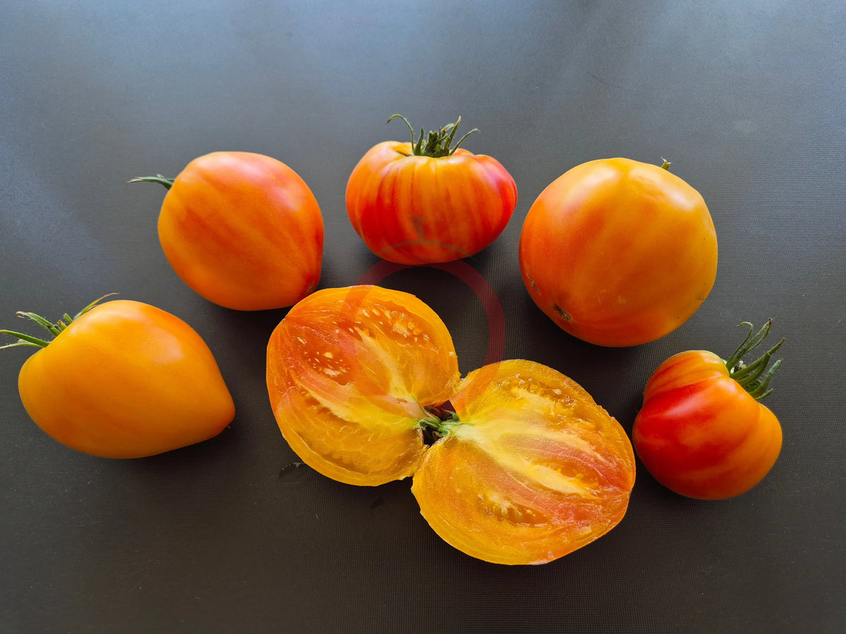 Ananas Malibu DER TOMATENFLÜSTERER