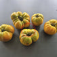 Ananas Noire DER TOMATENFLÜSTERER