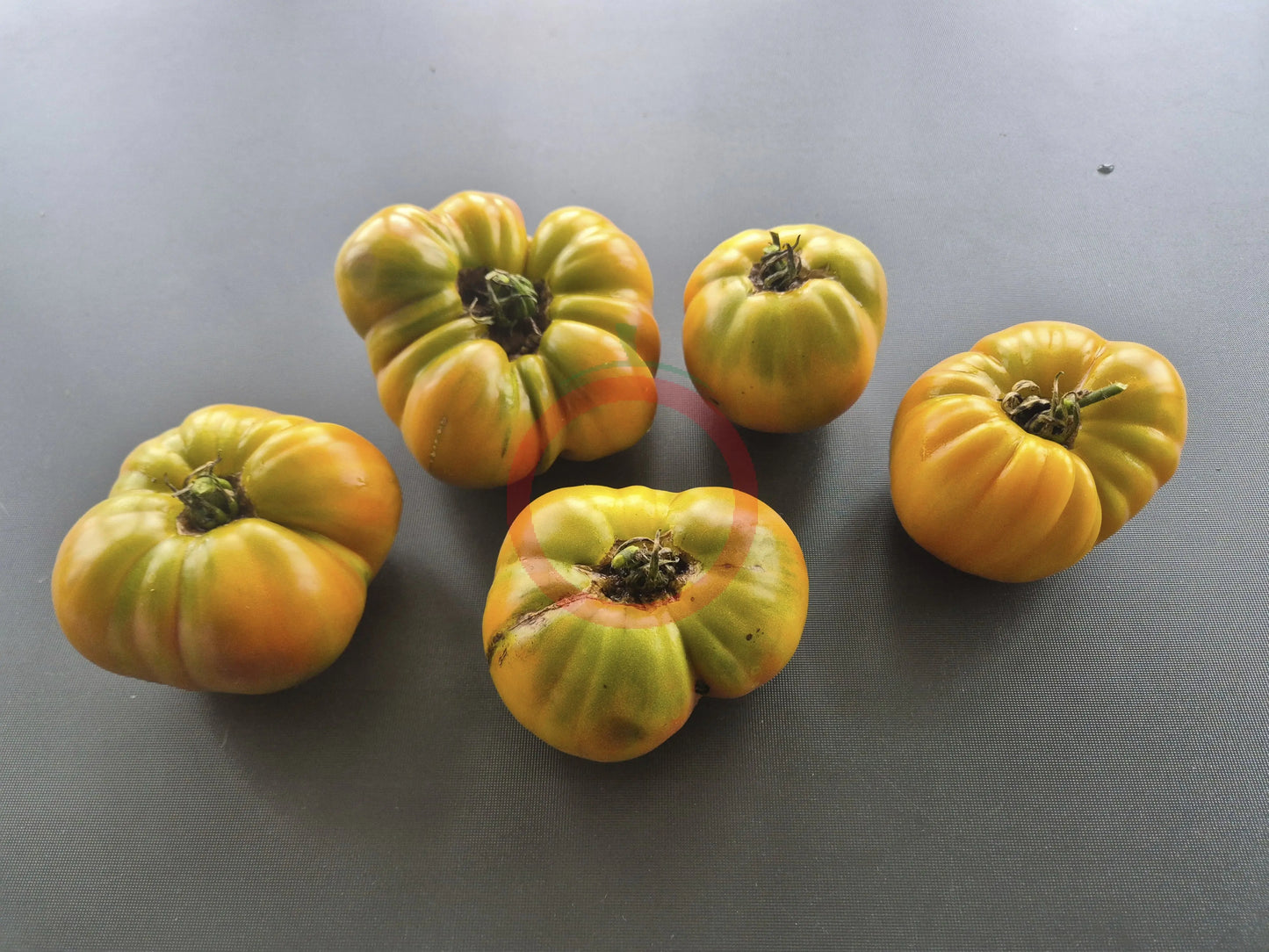 Ananas Noire DER TOMATENFLÜSTERER