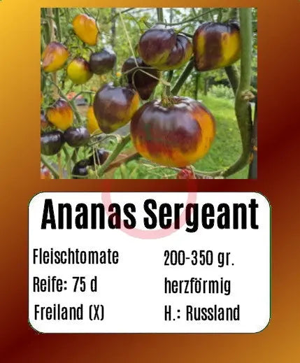 Ananas Sergeant DER TOMATENFLÜSTERER