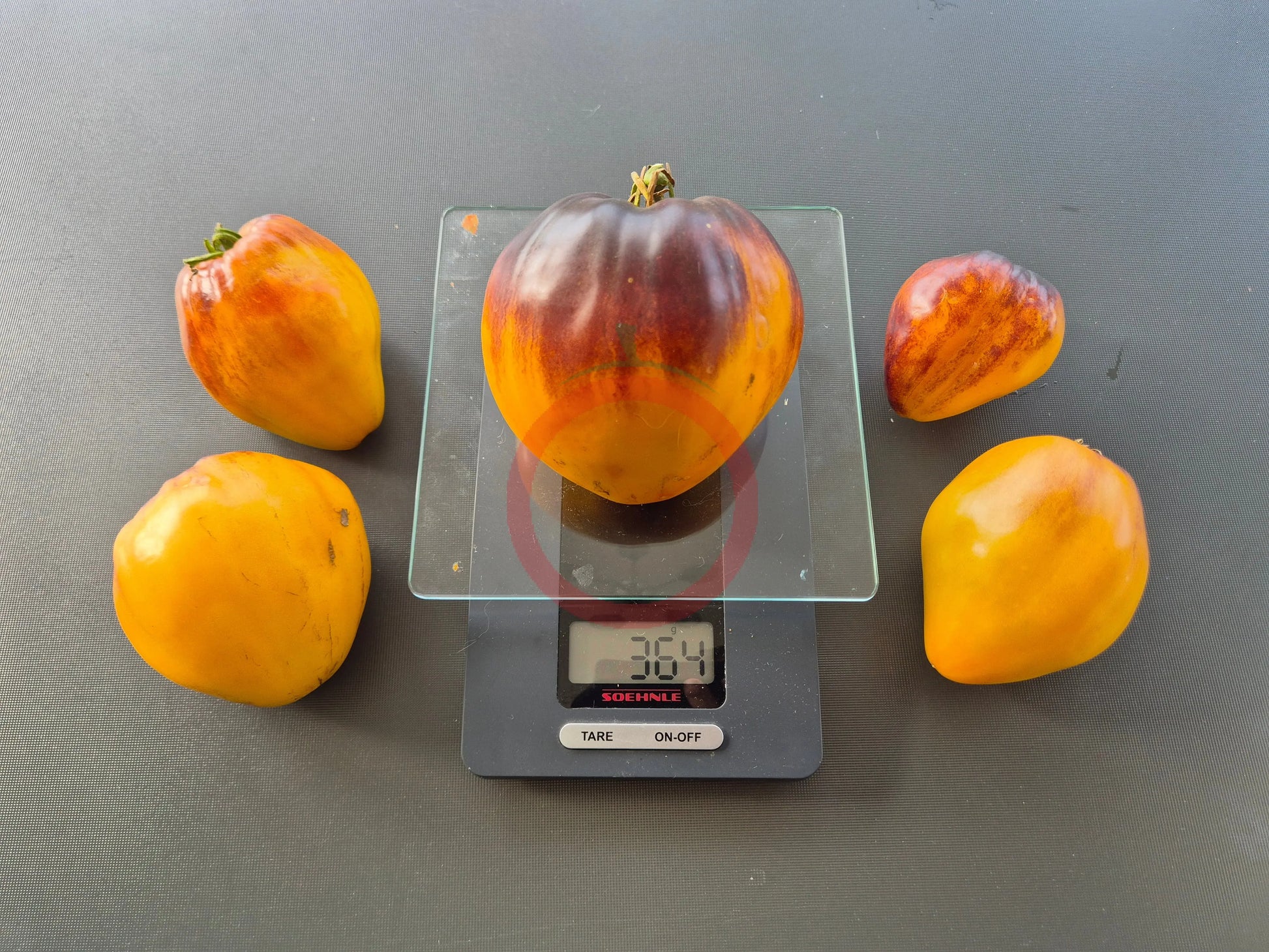 Ananas Sergeant DER TOMATENFLÜSTERER