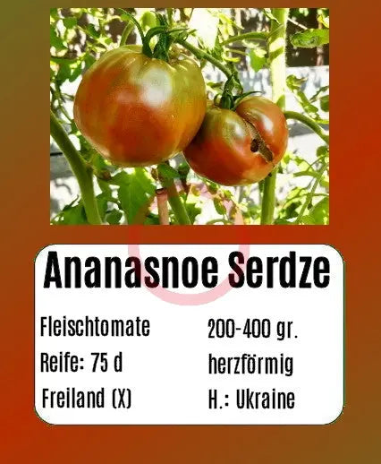 Ananasnoe Serdze DER TOMATENFLÜSTERER