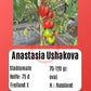Anastasia Ushakova DER TOMATENFLÜSTERER