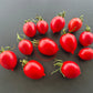 Anastasia Ushakova DER TOMATENFLÜSTERER