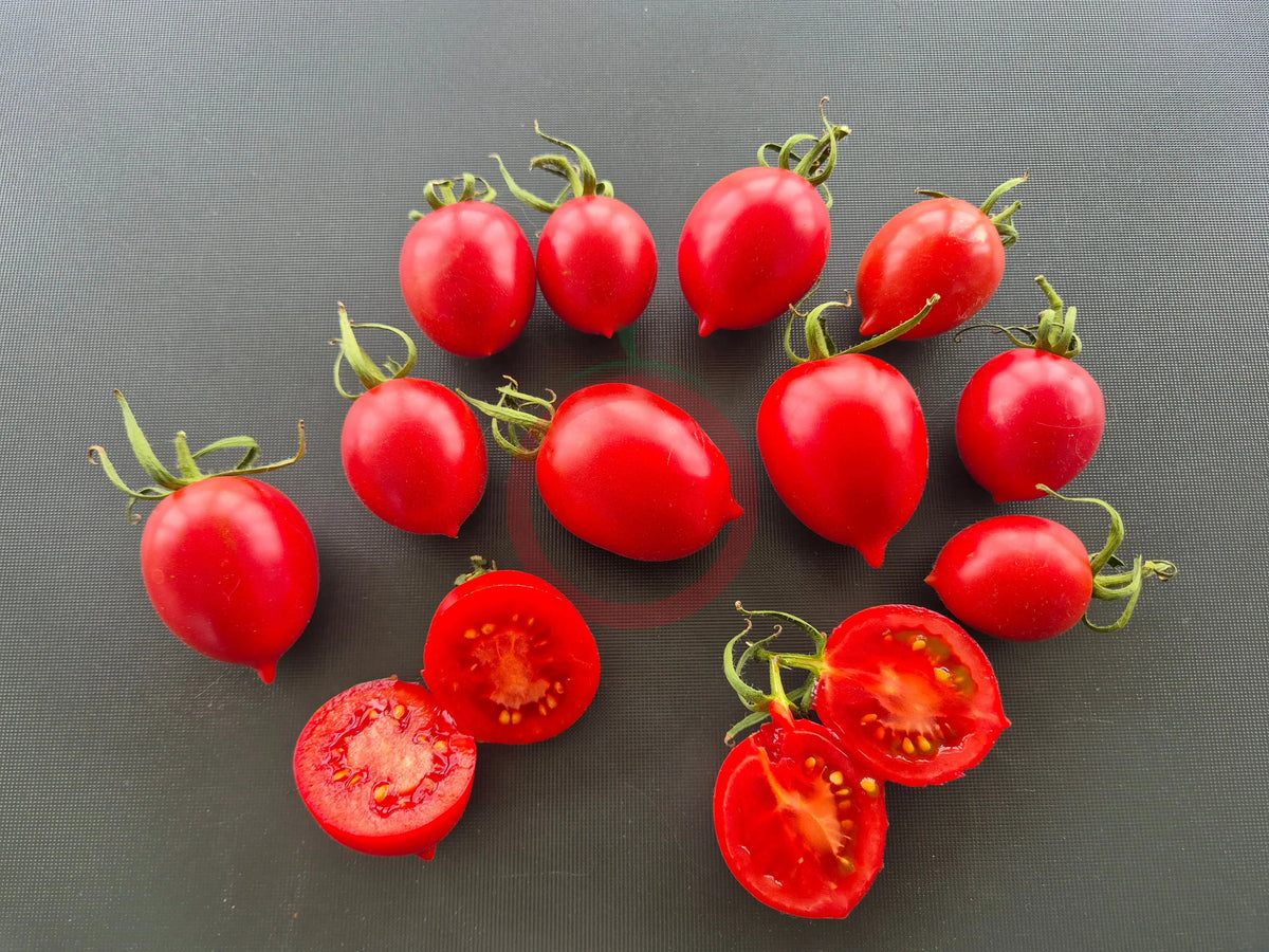 Anastasia Ushakova DER TOMATENFLÜSTERER