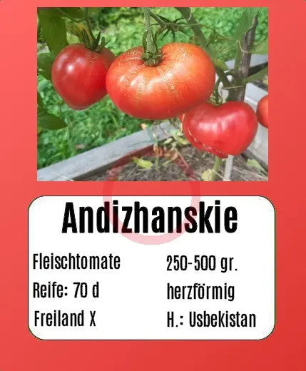 Andizhanskie DER TOMATENFLÜSTERER