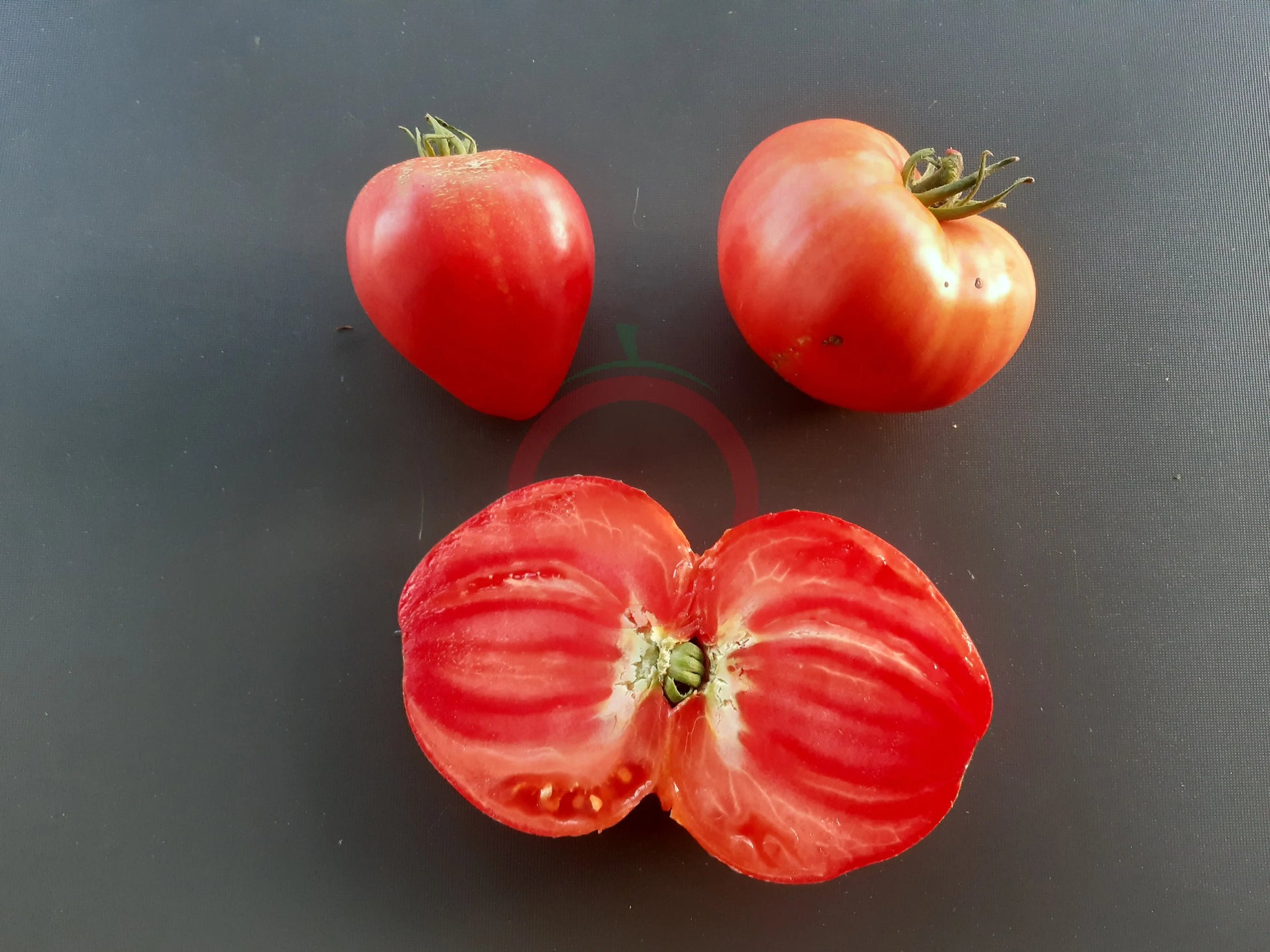 Andizhanskie DER TOMATENFLÜSTERER