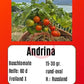 Andrina DER TOMATENFLÜSTERER