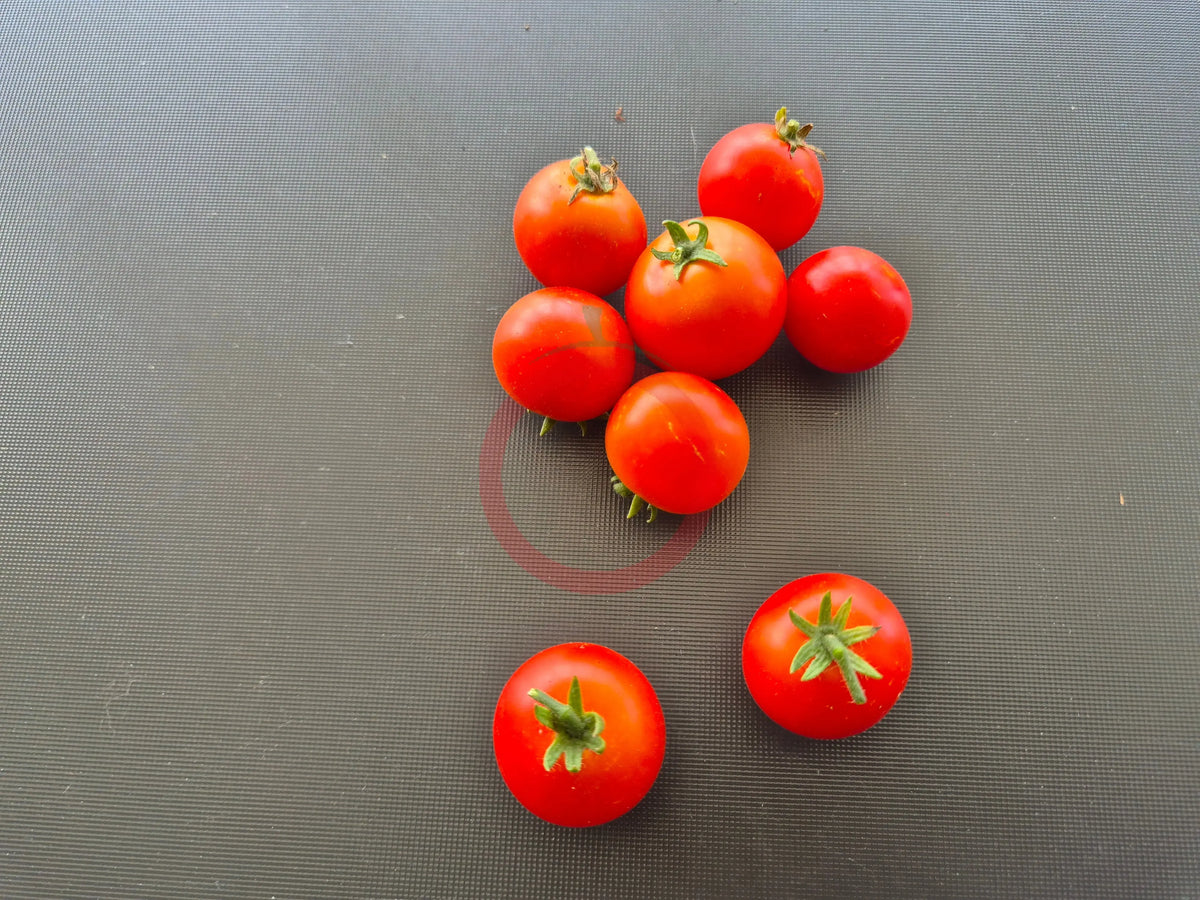 Andrina DER TOMATENFLÜSTERER