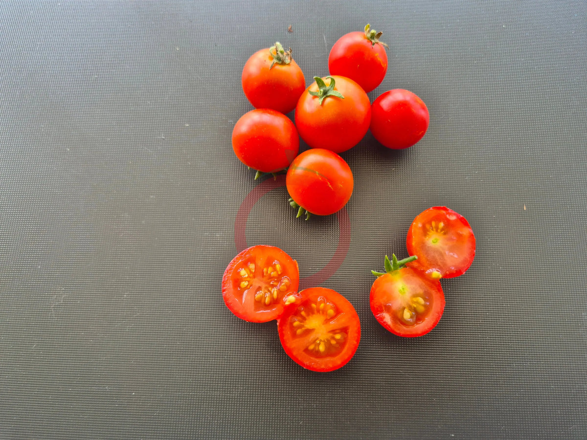 Andrina DER TOMATENFLÜSTERER