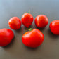 Angela Giant DER TOMATENFLÜSTERER