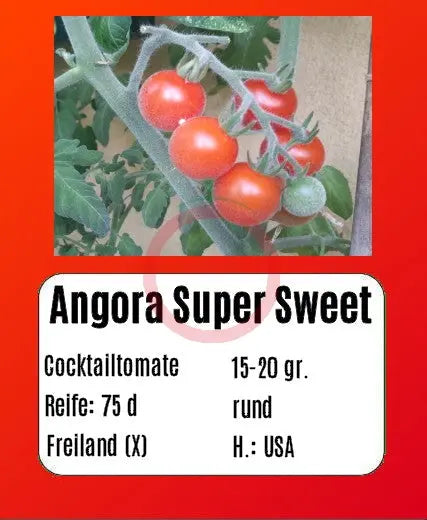 Angora Super Sweet DER TOMATENFLÜSTERER