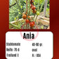 Ania DER TOMATENFLÜSTERER