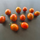 Ania DER TOMATENFLÜSTERER