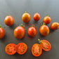 Ania DER TOMATENFLÜSTERER