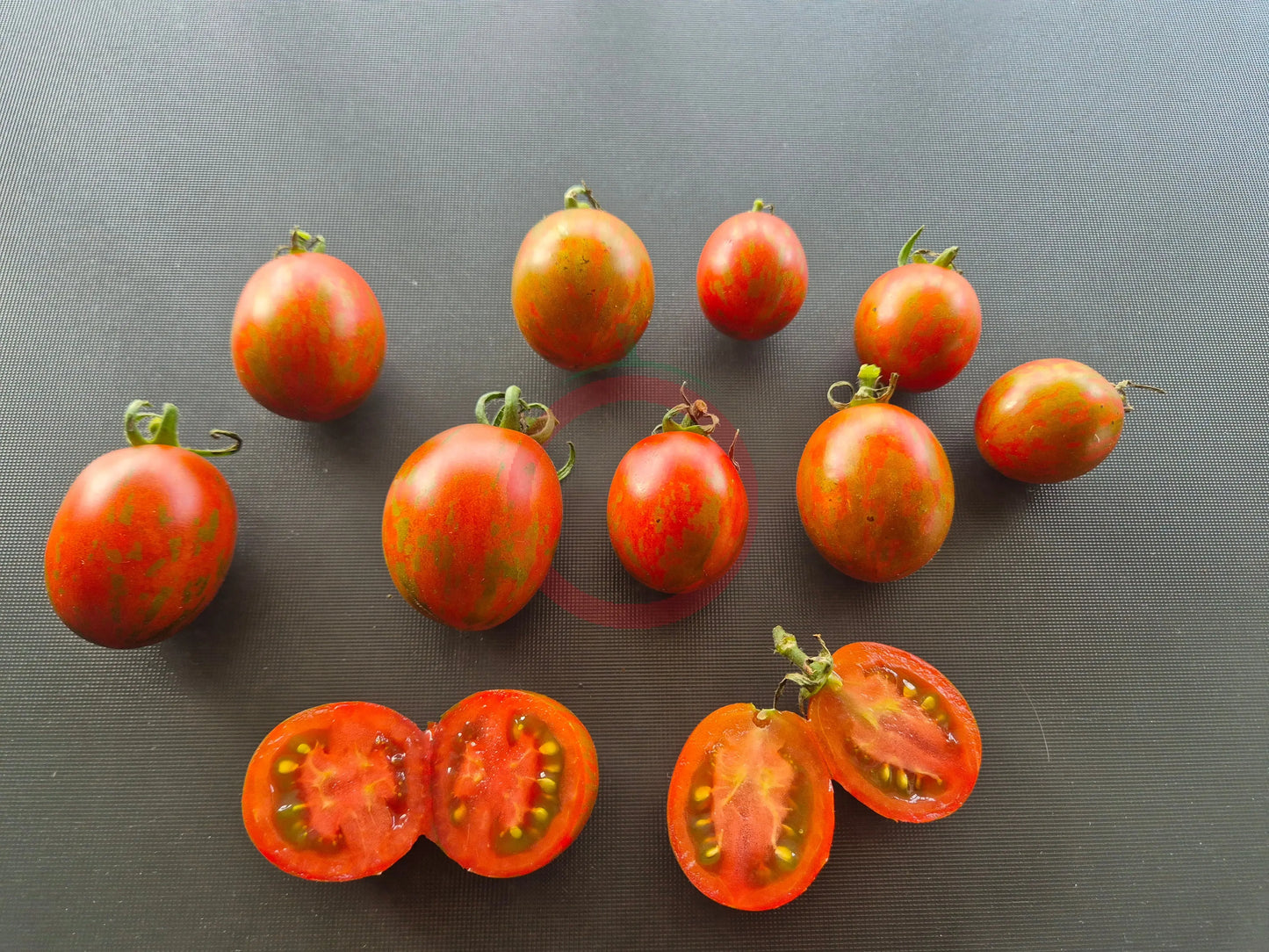 Ania DER TOMATENFLÜSTERER