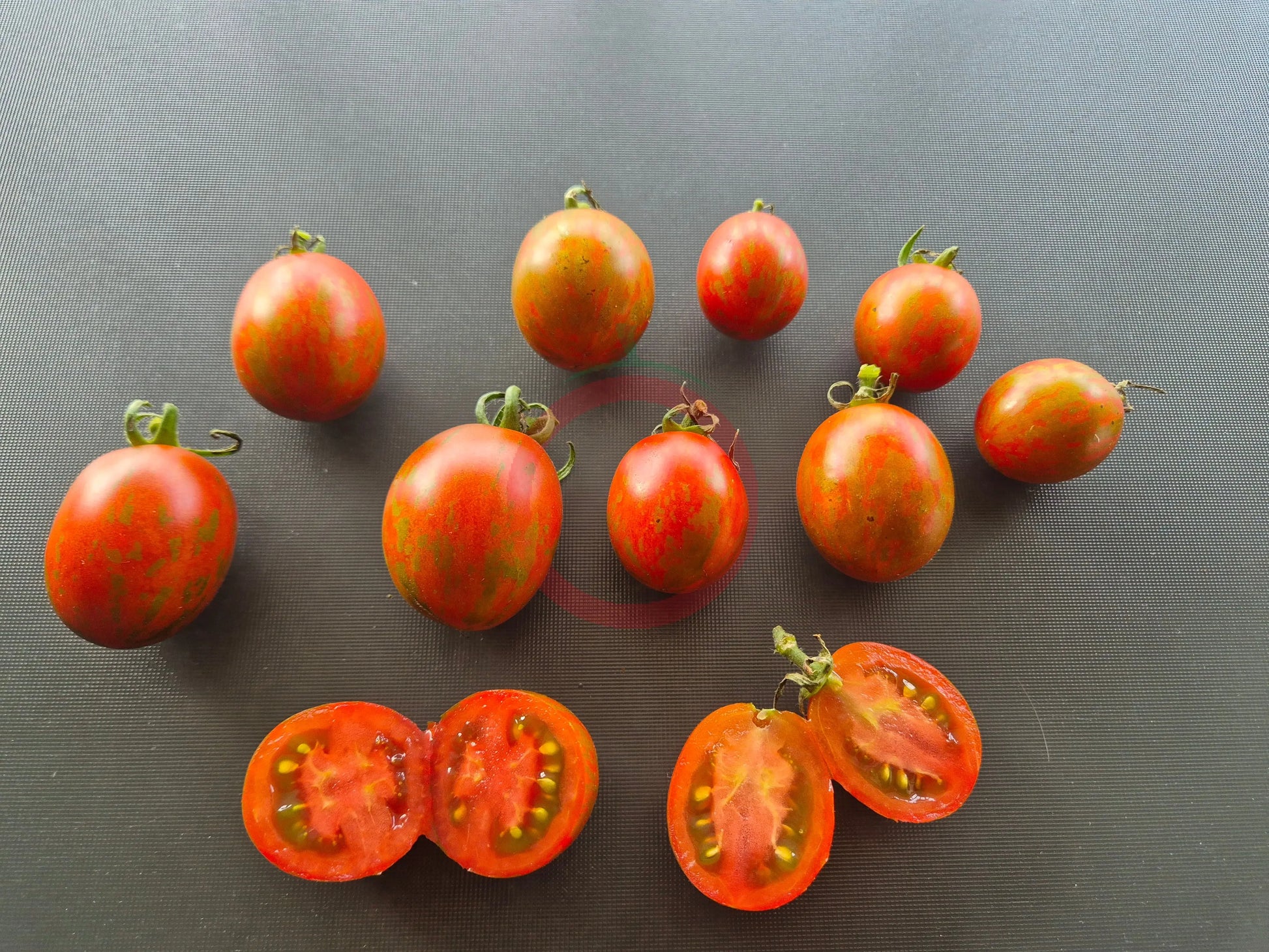 Ania DER TOMATENFLÜSTERER