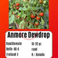 Anmore Dewdrop DER TOMATENFLÜSTERER