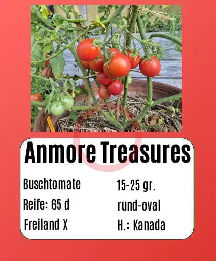 Anmore Treasures DER TOMATENFLÜSTERER