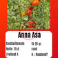 Anna Asa DER TOMATENFLÜSTERER