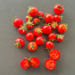 Anna Asa DER TOMATENFLÜSTERER