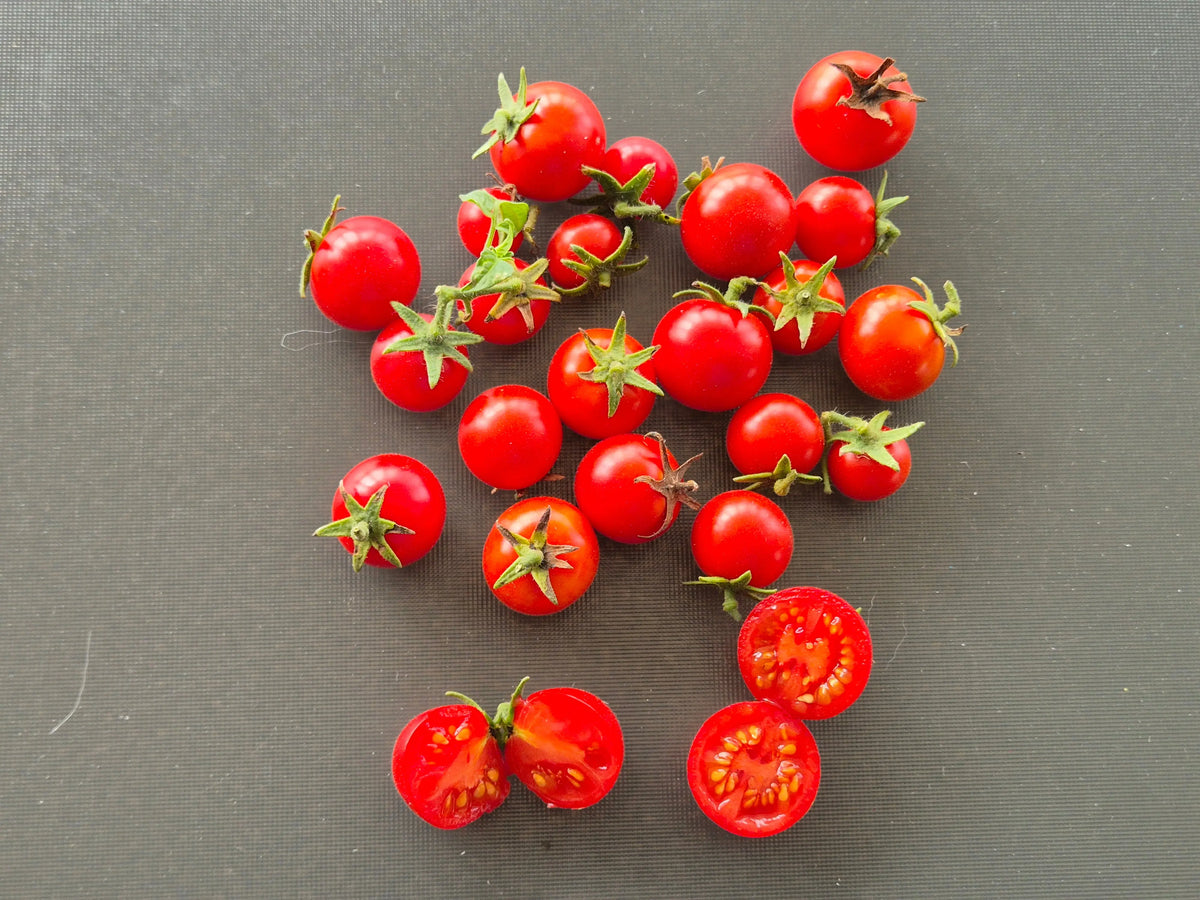 Anna Asa DER TOMATENFLÜSTERER