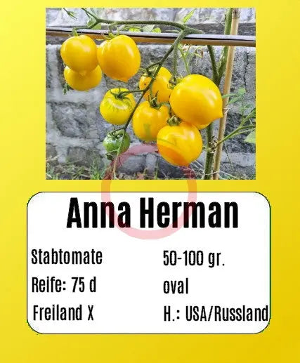 Anna Herman DER TOMATENFLÜSTERER