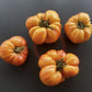 Anna Meyer DER TOMATENFLÜSTERER
