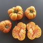 Anna Meyer DER TOMATENFLÜSTERER
