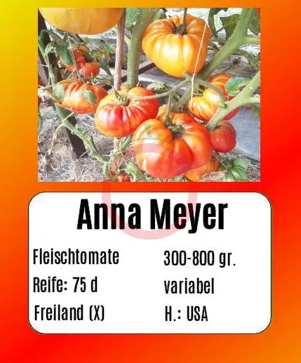 Anna Meyer DER TOMATENFLÜSTERER