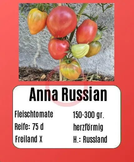 Anna Russian DER TOMATENFLÜSTERER