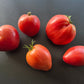 Anna Russian DER TOMATENFLÜSTERER
