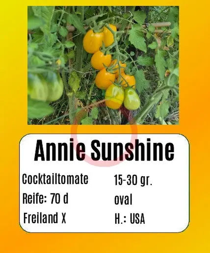 Annie Sunshine DER TOMATENFLÜSTERER