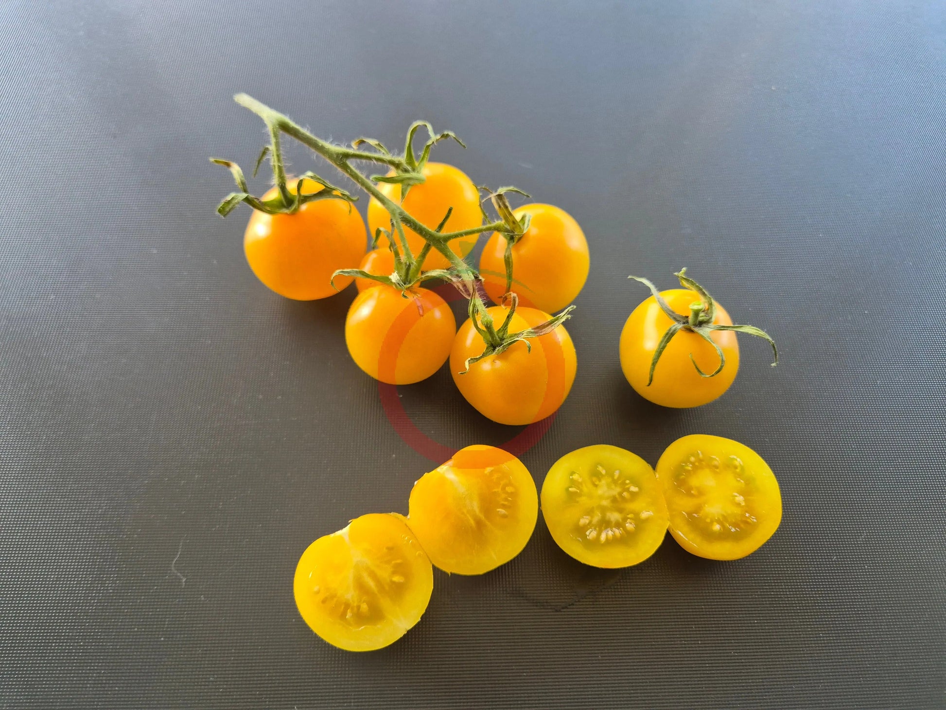 Ansof´s Gule DER TOMATENFLÜSTERER