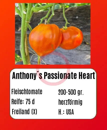 Anthony's Passionate Heart DER TOMATENFLÜSTERER
