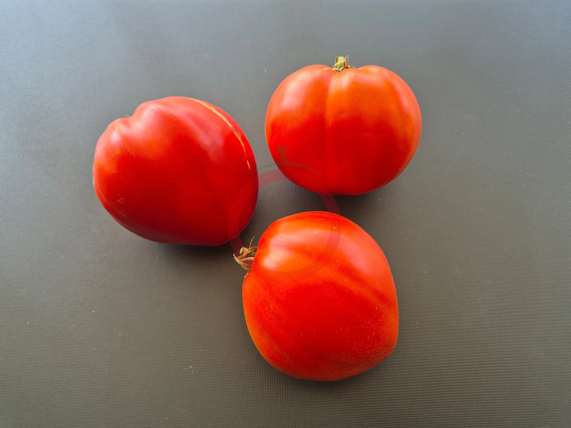 Anthony's Passionate Heart DER TOMATENFLÜSTERER