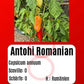 Antohi Romanian DER TOMATENFLÜSTERER